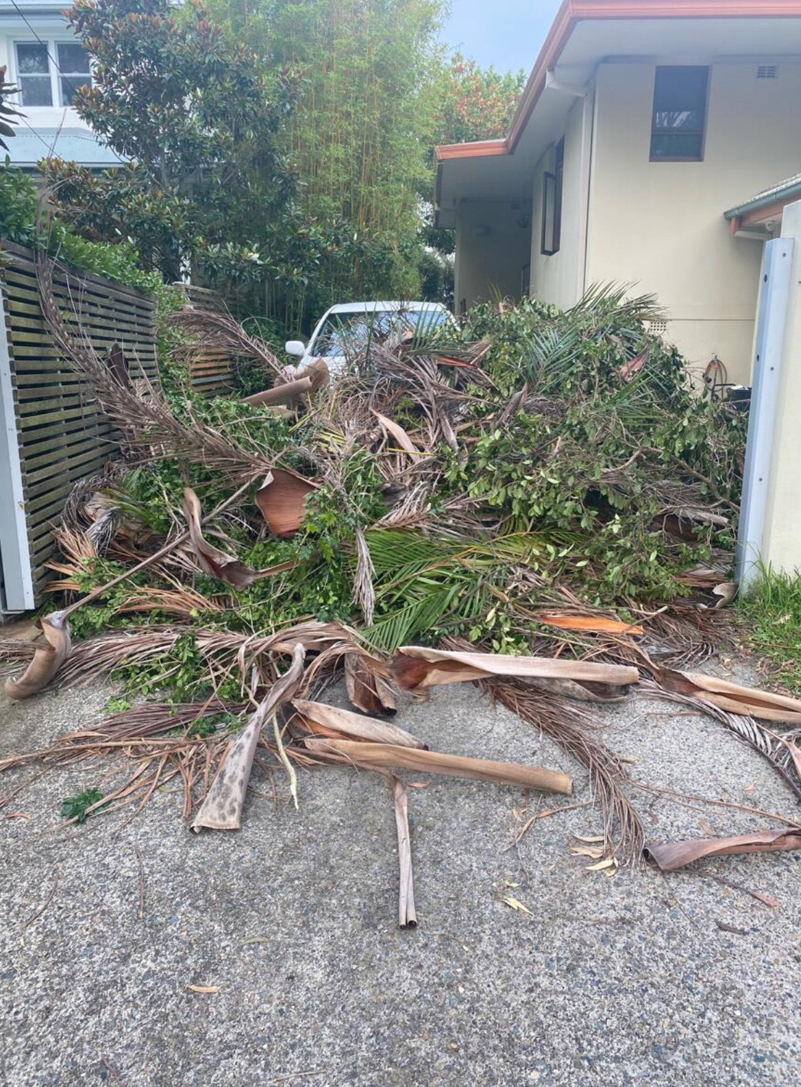 Before: Yard clear-out