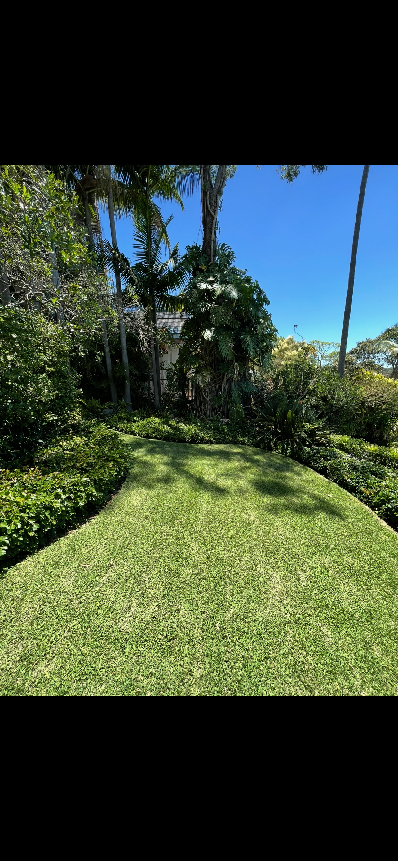 Landscape design 3