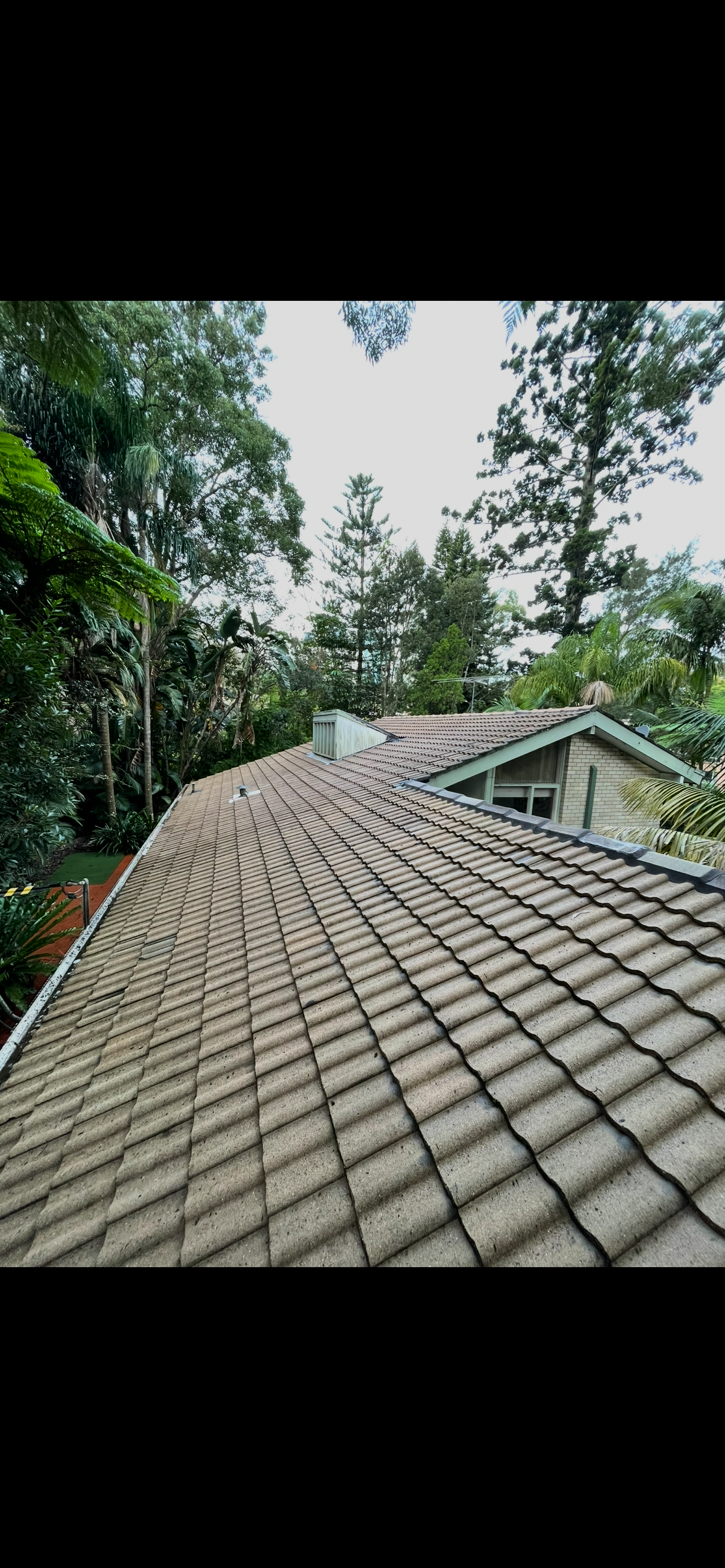 After: Roof wash
