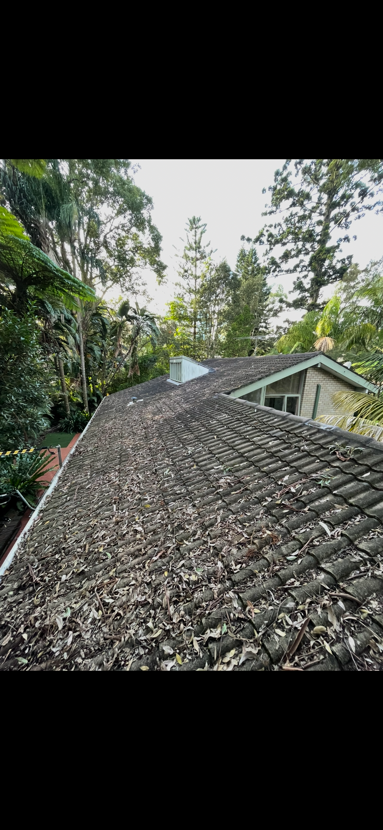 Before: Roof wash